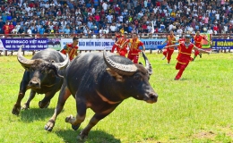 Y&ecirc;u cầu gi&aacute;m s&aacute;t chặt chẽ lễ hội ch&ugrave;a Hương, khai ấn đền Trần, chọi tr&acirc;u Đồ Sơn