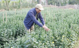 Agribank chi nh&aacute;nh Hưng H&agrave;: Nơi kh&aacute;ch h&agrave;ng trao niềm tin