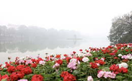 Bắc Bộ sắp bước v&agrave;o m&ugrave;a mưa ph&ugrave;n v&agrave; nồm ẩm