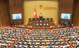 Cơ cấu tổ chức v&agrave; nh&acirc;n sự c&aacute;c cơ quan của Quốc hội kh&oacute;a XV