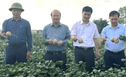 Hải Dương: Kim Th&agrave;nh giao nhiệm vụ 4 x&atilde; về đ&iacute;ch n&ocirc;ng th&ocirc;n mới kiểu mẫu trong năm nay