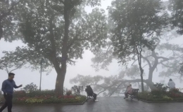 Thời tiết ng&agrave;y 20/2: Mưa ph&ugrave;n, sương m&ugrave; bao phủ miền Bắc