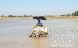 Tuyệt đối kh&ocirc;ng gieo cấy trong những ng&agrave;y nhiệt độ dưới 15 độ C