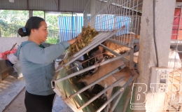  Vươn l&ecirc;n l&agrave;m gi&agrave;u từ m&ocirc; h&igrave;nh sản xuất n&ocirc;ng nghiệp