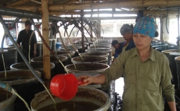 Bạn đồng h&agrave;nh của n&ocirc;ng d&acirc;n