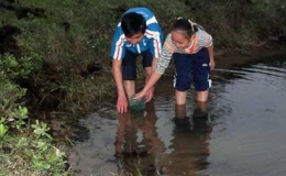 Cậu học tr&ograve; vươn l&ecirc;n trong học tập