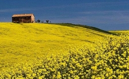 Ngắm những m&ugrave;a xu&acirc;n đẹp nhất thế giới 