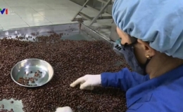 Ấn Độ gỡ bỏ lệnh cấm nhập khẩu một số n&ocirc;ng sản Việt Nam