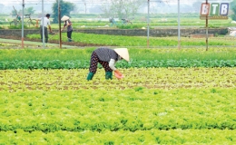 Quỹ T&iacute;n dụng nh&acirc;n d&acirc;n Trung An: Đ&oacute;ng g&oacute;p t&iacute;ch cực cho ph&aacute;t triển  kinh tế - x&atilde; hội địa phương