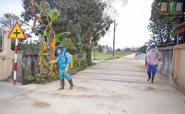 Kế hoạch số 24 /KH-UBND ph&aacute;t động Tuần vệ sinh ti&ecirc;u độc khử tr&ugrave;ng ph&ograve;ng, chống bệnh dịch tả lợn ch&acirc;u Phi tr&ecirc;n địa b&agrave;n tỉnh Th&aacute;i B&igrave;nh