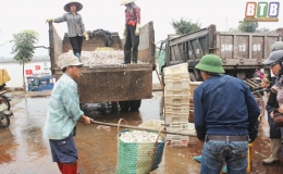 Những chuyến biển đầu xu&acirc;n