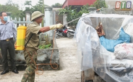 Quỳnh Phụ: Kh&ocirc;ng quyết liệt, kh&oacute; ph&ograve;ng, chống bệnh dịch tả lợn ch&acirc;u Phi