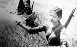 Ph&aacute;o đ&agrave;i đồng bằng