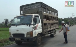 Kiến Xương tổ chức họp khẩn ứng ph&oacute; với dịch tả lợn ch&acirc;u Phi