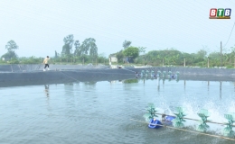 H&agrave; Minh Th&agrave;nh: Th&agrave;nh c&ocirc;ng từ m&ocirc; h&igrave;nh nu&ocirc;i thả t&ocirc;m c&ocirc;ng nghiệp