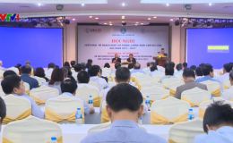 Triển khai kế hoạch ph&ograve;ng chống dịch c&uacute;m gia cầm