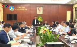 Vĩnh Ph&uacute;c: 23 địa phương xuất hiện dịch tả lợn ch&acirc;u Phi