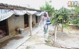 Nam Trung: Tập trung ph&ograve;ng bệnh dịch tả lợn ch&acirc;u Phi