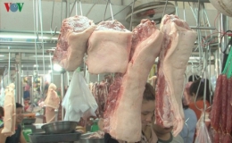 Gi&aacute; thịt lợn lại tăng &ldquo;phi m&atilde;&rdquo;