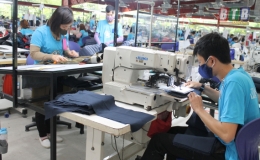 Vũ Thư thu ng&acirc;n s&aacute;ch nh&agrave; nước vượt 72% kế hoạch