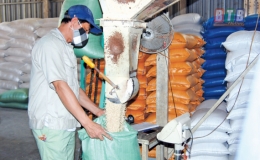 Quỳnh Phụ đẩy mạnh thu h&uacute;t đầu tư v&agrave;o c&aacute;c cụm c&ocirc;ng nghiệp