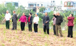 Trọn t&igrave;nh đồng đội