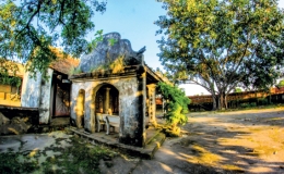 Mầm sinh Mỹ X&aacute; 