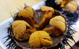 C&aacute;ch người Nhật khai th&aacute;c nh&iacute;m biển đắt đỏ