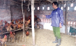 Chăm s&oacute;c vật nu&ocirc;i khi thời tiết thay đổi