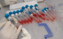 Chiều 5/3, ph&aacute;t hiện th&ecirc;m 6 ca mắc COVID-19 nhập cảnh, được c&aacute;ch ly ngay