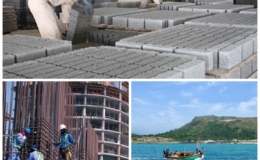 Ch&iacute;nh phủ, Thủ tướng ban h&agrave;nh 6 văn bản QPPL trong th&aacute;ng 2/2021