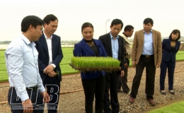 Hội đồng nh&acirc;n d&acirc;n huyện Kiến Xương: Dấu ấn nhiệm kỳ