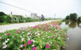 Hưng Y&ecirc;n: 100% số x&atilde; đạt chuẩn n&ocirc;ng th&ocirc;n mới