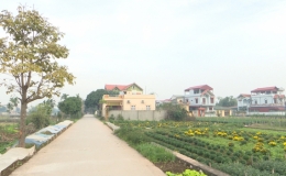 Huyện Thường T&iacute;n (H&agrave; Nội) ho&agrave;n th&agrave;nh nhiệm vụ x&acirc;y dựng n&ocirc;ng th&ocirc;n mới