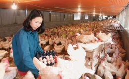 L&agrave;m gi&agrave;u từ m&ocirc; h&igrave;nh VAC