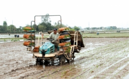 Nơi hội tụ của những &ldquo;đại điền&rdquo;