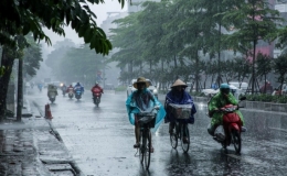 Tin gi&oacute; m&ugrave;a Đ&ocirc;ng Bắc