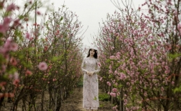 Việt Nam v&agrave;o top điểm ngắm hoa xu&acirc;n ch&acirc;u &Aacute;