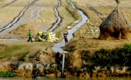 X&acirc;m nhập mặn ở c&aacute;c s&ocirc;ng V&agrave;m Cỏ, Cửu Long tăng cao từ ng&agrave;y 27-3