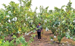 Biến r&aacute;c th&agrave;nh ph&acirc;n b&oacute;n