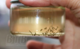 Chủ động kế hoạch ph&ograve;ng, chống bệnh truyền nhiễm năm 2022