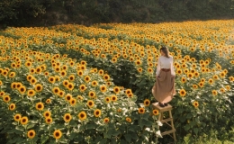 Đ&agrave; Lạt v&agrave;o top điểm ngắm hoa đẹp nhất thế giới