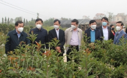 Đồng ch&iacute; Nguyễn Tiến Th&agrave;nh, Ph&oacute; B&iacute; thư thường trực Tỉnh ủy, Chủ tịch HĐND tỉnh kiểm tra, chỉ đạo c&ocirc;ng t&aacute;c sản xuất n&ocirc;ng nghiệp tại Đ&ocirc;ng Hưng, Hưng H&agrave;