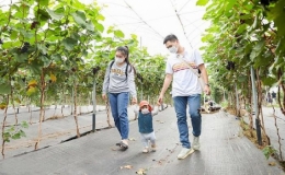 H&agrave; Nội ph&aacute;t triển kinh tế du lịch n&ocirc;ng nghiệp, n&ocirc;ng th&ocirc;n gắn với x&acirc;y dựng n&ocirc;ng th&ocirc;n mới