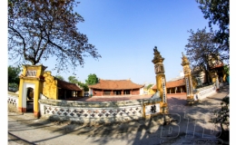 Ho&agrave;i vọng s&acirc;n đ&igrave;nh