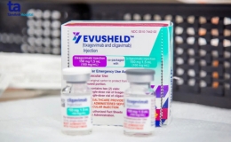 Kh&aacute;ng thể đơn d&ograve;ng Evusheld dự ph&ograve;ng Covid-19 được cấp ph&eacute;p tại Việt Nam