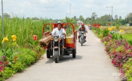 Phấn đấu đến năm 2025 cả nước c&oacute; &iacute;t nhất 80% số x&atilde; đạt chuẩn n&ocirc;ng th&ocirc;n mới