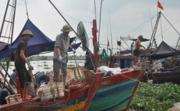  Th&aacute;i Thụy: Tổng gi&aacute; trị sản xuất qu&yacute; I, năm 2022 ước đạt hơn 6.241 tỷ đồng