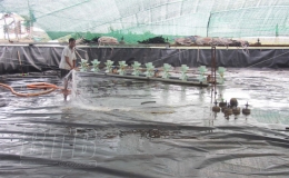 Tiền Hải: Cải tạo ao, đầm bảo đảm nu&ocirc;i trồng thủy sản vụ xu&acirc;n h&egrave;