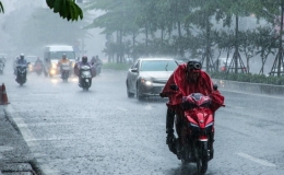 Tin gi&oacute; m&ugrave;a Đ&ocirc;ng Bắc